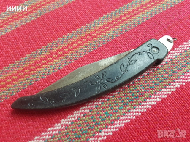 Ножка сойка 2 