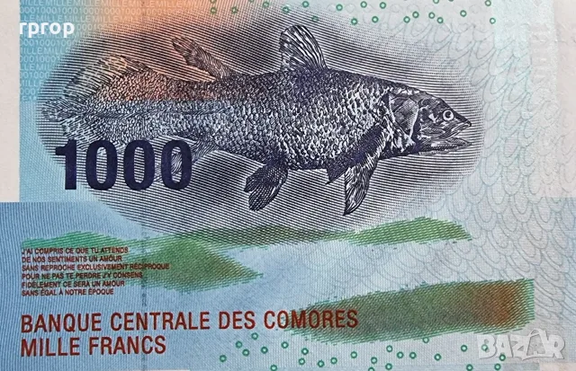 Коморски острови. Африка . 1000 франка. 2005 година. UNC., снимка 3 - Нумизматика и бонистика - 48421595