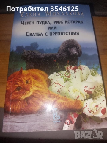 Книга, снимка 1