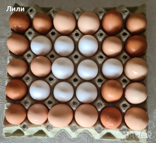 Домашни яйца от щастливи кокошки
