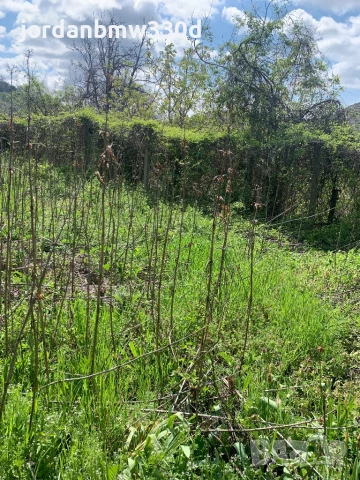 Упи в село Илинденци общ.Струмяни обл.Благоевград, снимка 2 - Парцели - 50922961