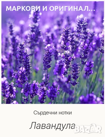 Yodeyma LUXOR 50мл./ Дамски парфюм, снимка 8 - Дамски парфюми - 51991168