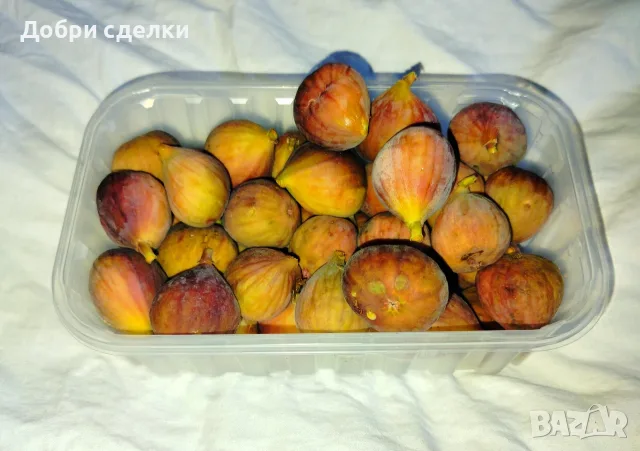 Смокини за директна консумация