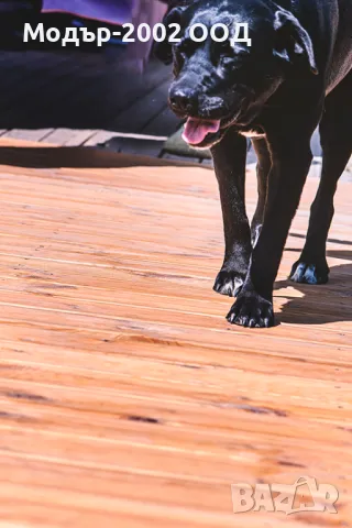 Декинг от дървесина, първокачествен дървен материал от производител, снимка 4 - Други - 48150028