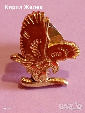 Винтидж значка с винт Американски орел 🦅 рядка много красива 53622, снимка 2 - Колекции - 53379134