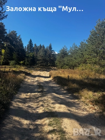 Парцел Цигов чарк, снимка 4 - Парцели - 51823147