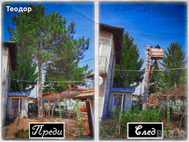 Почистване на запустели градини и общински обекти, снимка 8 - Други почистващи услуги - 44635527