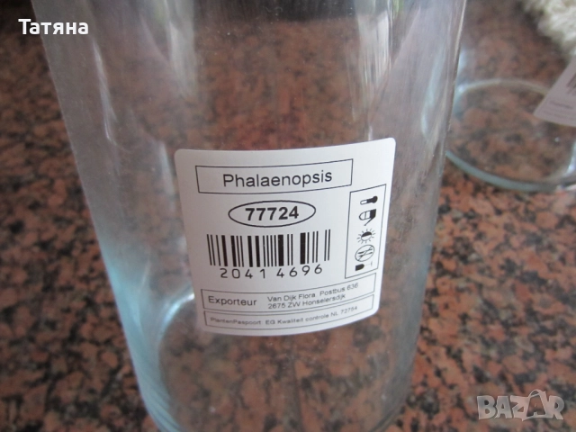 количка за аранжиране на цветя  или висящи чаши и бутилка ; ВАЗА за   ОРХИДЕИ / ХОЛАНДИЯ/ ;, снимка 11 - Декорация за дома - 28688293