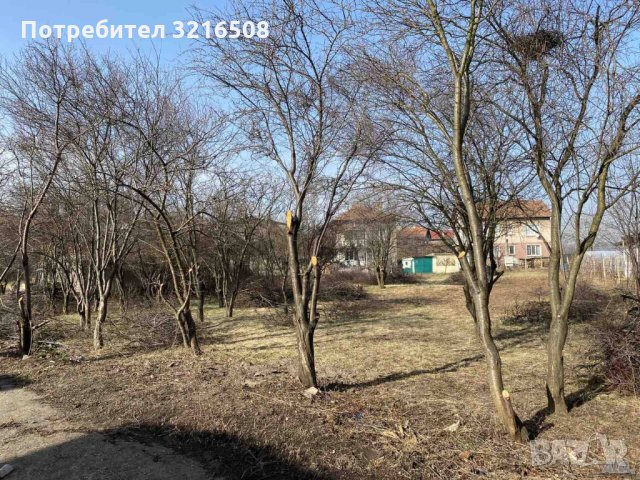 Косене на трева, почистване  на дворове парцели ,Рязане на дървета кастрене , снимка 7 - Други услуги - 34698765