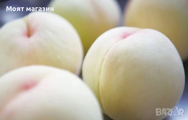 Бяла нектарина, снимка 5 - Градински цветя и растения - 53626833