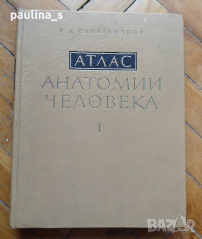 Атлас по анатомия на опорно-двигателния апарат на Синельников