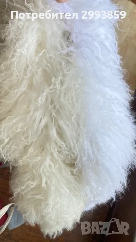 Палто естествен косъм Лама*LAMA*Mongolian Fur/ Croped Mongolian Fur Coat, снимка 16 - Палта, манта - 53634417
