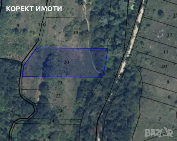 ПРОДАВА ГОРА в с. Осмар, снимка 2 - Земеделска земя - 48123781