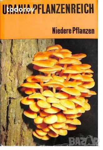 Голям атлас на гъбите