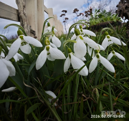 Декоративен Кладенец , снимка 5 - Градински мебели, декорация  - 53115484