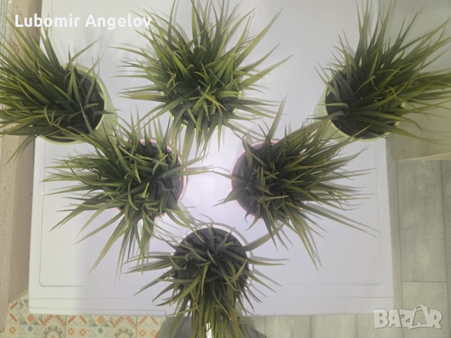 Изкуствени цветя, снимка 2 - Изкуствени цветя - 53301606