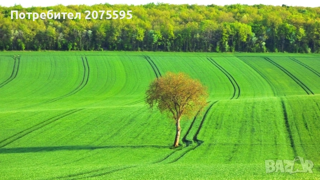 Земеделска земя село Воден ,общ. Болярово