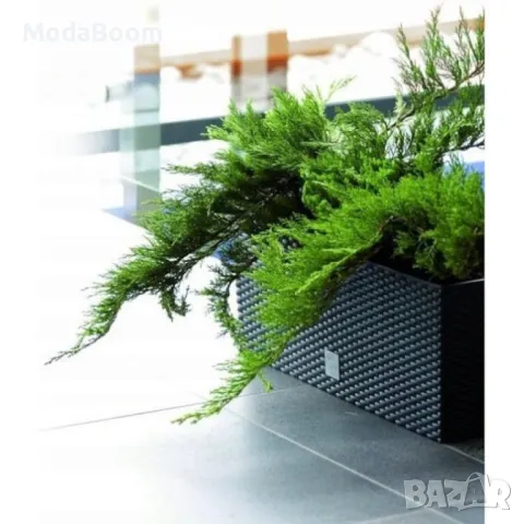 Модерна саксия с поливна система