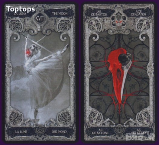 Уникални таро карти: The Fountain Tarot & XII Tarot Nekro, снимка 11 - Карти за игра - 34166560