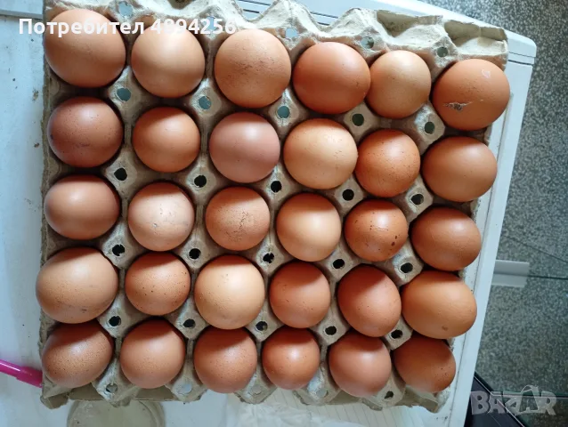 Продавам домашни яйца от свободно отглеждани кокошки, снимка 2 - Домашни продукти - 55890350