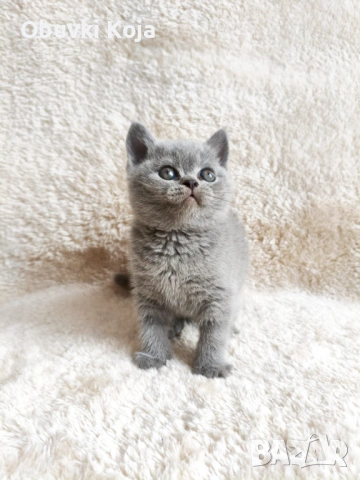 Уникален подарък за вашите любими 