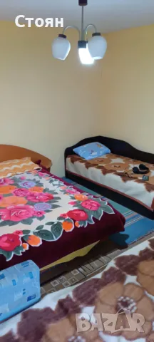 Къща в село Брестак общ.Вълчи дол, снимка 14 - Къщи - 50429185