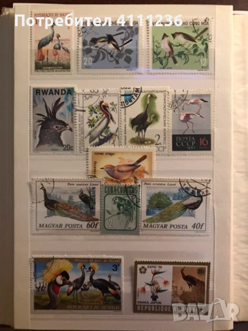 Класьор с марки предимно Фауна , снимка 13 - Филателия - 53513901