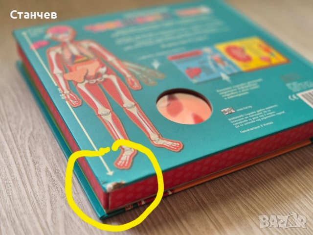 Прочети и сглоби! Човешкото тяло, снимка 9 - Игри и пъзели - 51496902