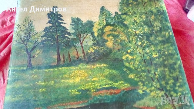 Д . Кулеков маслена картина , снимка 6 - Картини - 41531156