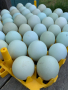 Предлагам разплодни яйца от Легбар, снимка 1