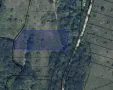 ПРОДАВА ГОРА в с. Осмар, снимка 2