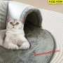 Плюшено легло с тунел за котки - КОД 4594, снимка 3