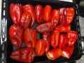 Постни пълнени чушки, снимка 2