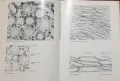 Хистологичен атлас / An Atlas of Histology, снимка 11