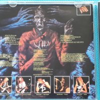 Holy Terror – 1987 - Terror & Submission (Thrash), снимка 5 - CD дискове - 42469613