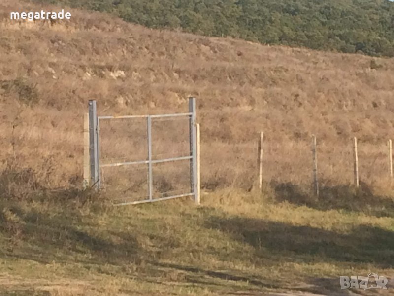 Орехова градина ( биологична ) , снимка 1