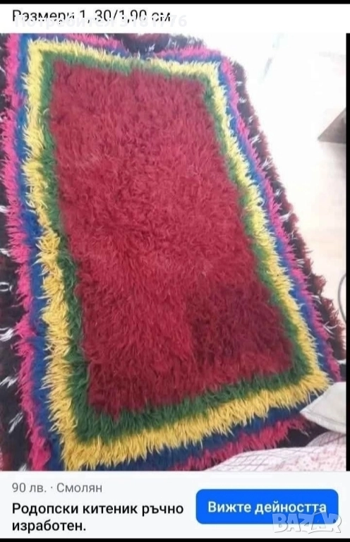 Родопски китеник., снимка 1