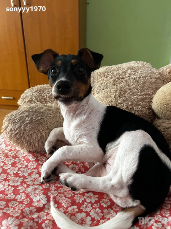 КИКИ ДЖАК ЗА КОЛЕДА МОМИЧЕНЦЕ 2512251553, снимка 1