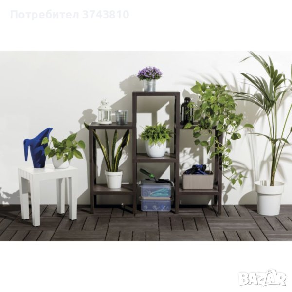 ЦВЕТАРНИК, снимка 1