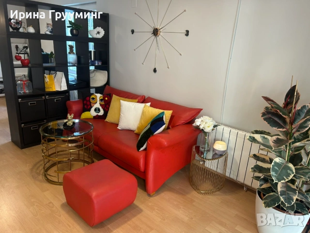 Отдава се под наем оборудван грууминг салон за кучета в София, снимка 6 - За кучета - 53859124