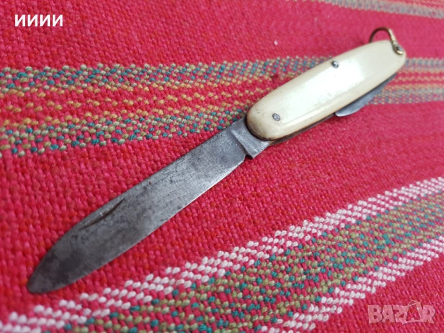 Ножка слонова кост 2