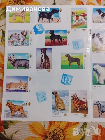 Албум за стикери Chipita Game картинки с кученца, снимка 7 - Колекции - 53524213