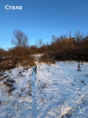 УПИ с. Драшан, снимка 5 - Парцели - 53177977