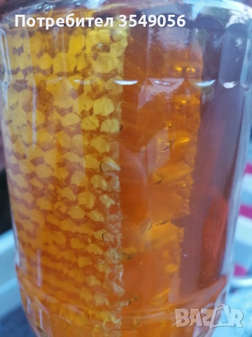 Пчелен мед с восък, снимка 3 - Пчелни продукти - 51707440