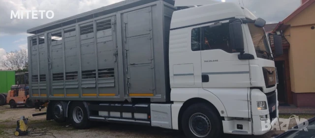 Транспорт на животни, снимка 2 - Транспортни услуги - 51029115