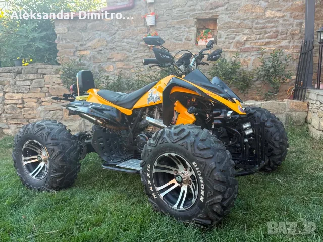 Bashan Jinling 250