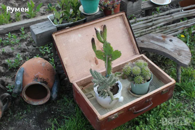 Куфар за декорация, снимка 3 - Антикварни и старинни предмети - 49778996