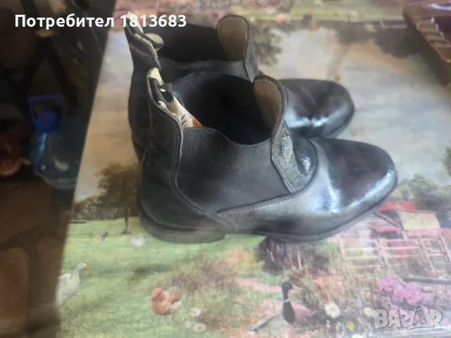 Horse riding boot