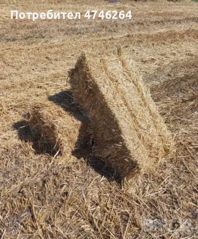 Бали слама малки