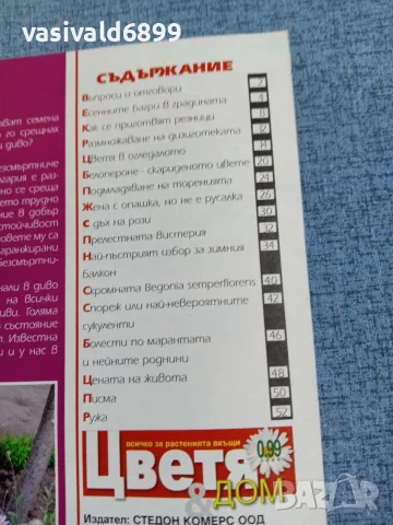 Списание "Цветя и дом" 11÷25 10/2011 , снимка 5 - Списания и комикси - 56317332